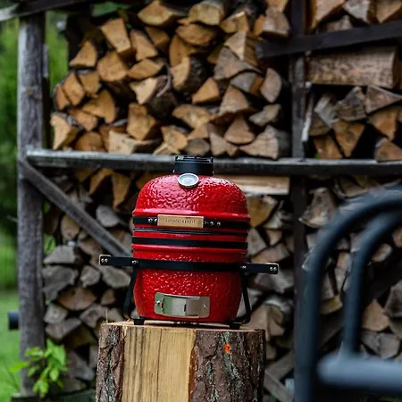 Ausra Dom wakacyjny Druskieniki