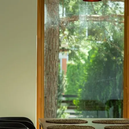 Ausra Holiday home *