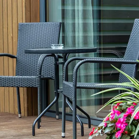 Ausra Holiday home Druskininkai