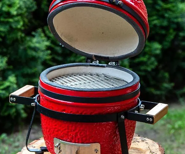 Ausra Друскининкай